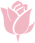 Liquid Foundation Sourcing Logo